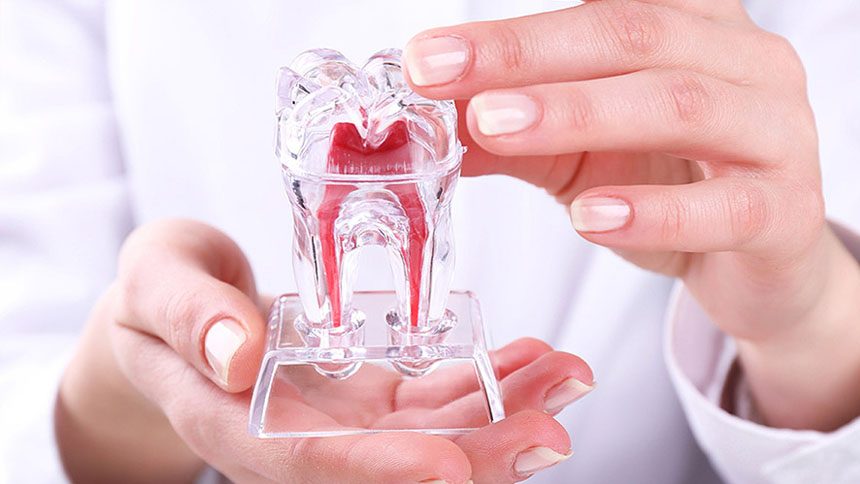 Endodontia